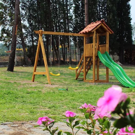 Alojamento de Acomodação e Pequeno-almoço Residencial Pinho *