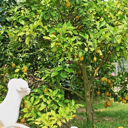 Residencial Pinho 3* 밀하다