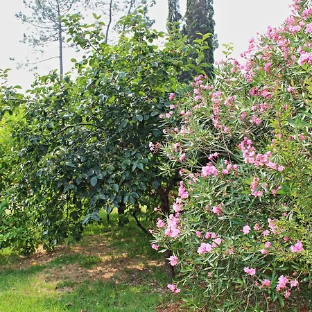 B&B Residencial Pinho 밀하다